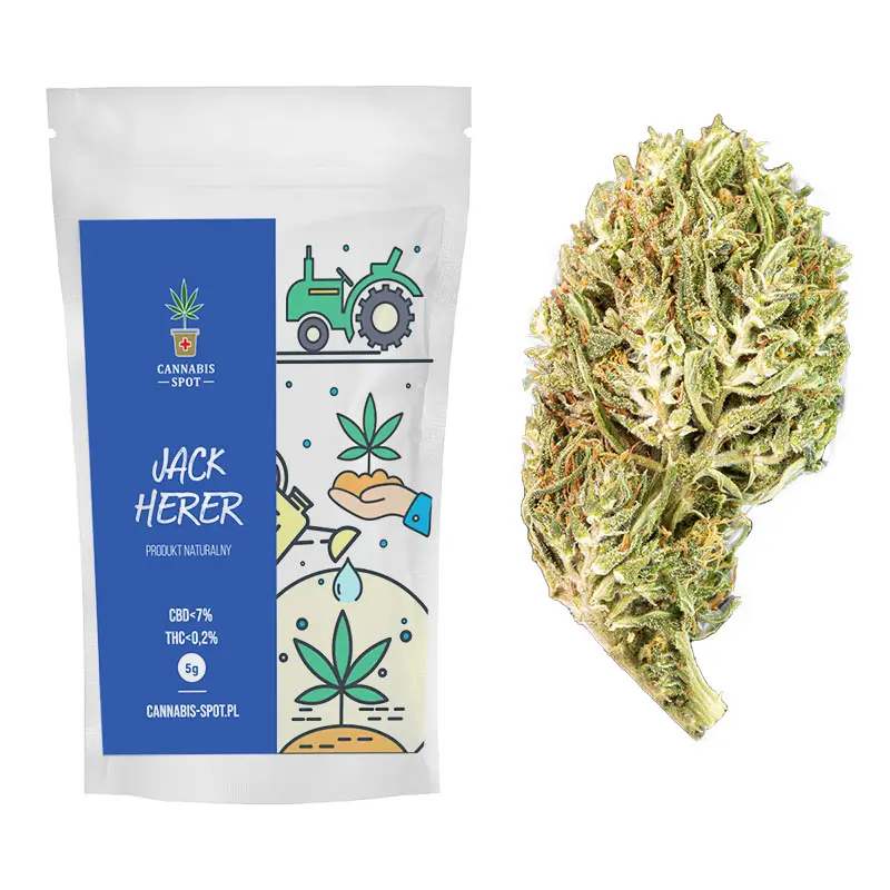 Jack Herer | AbsoluteXtracts | High Potency Cartridge