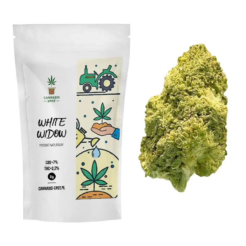 Infusion CBD white widow - Thé vert Cannabis VapeurShop
